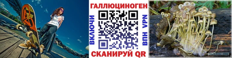 Галлюциногенные грибы GOLDEN TEACHER  купить наркоту  Железногорск 